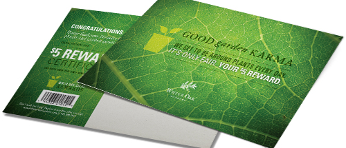 Create An Effective 5 X 7 Postcard Campaign 5x7 Postcard Printing